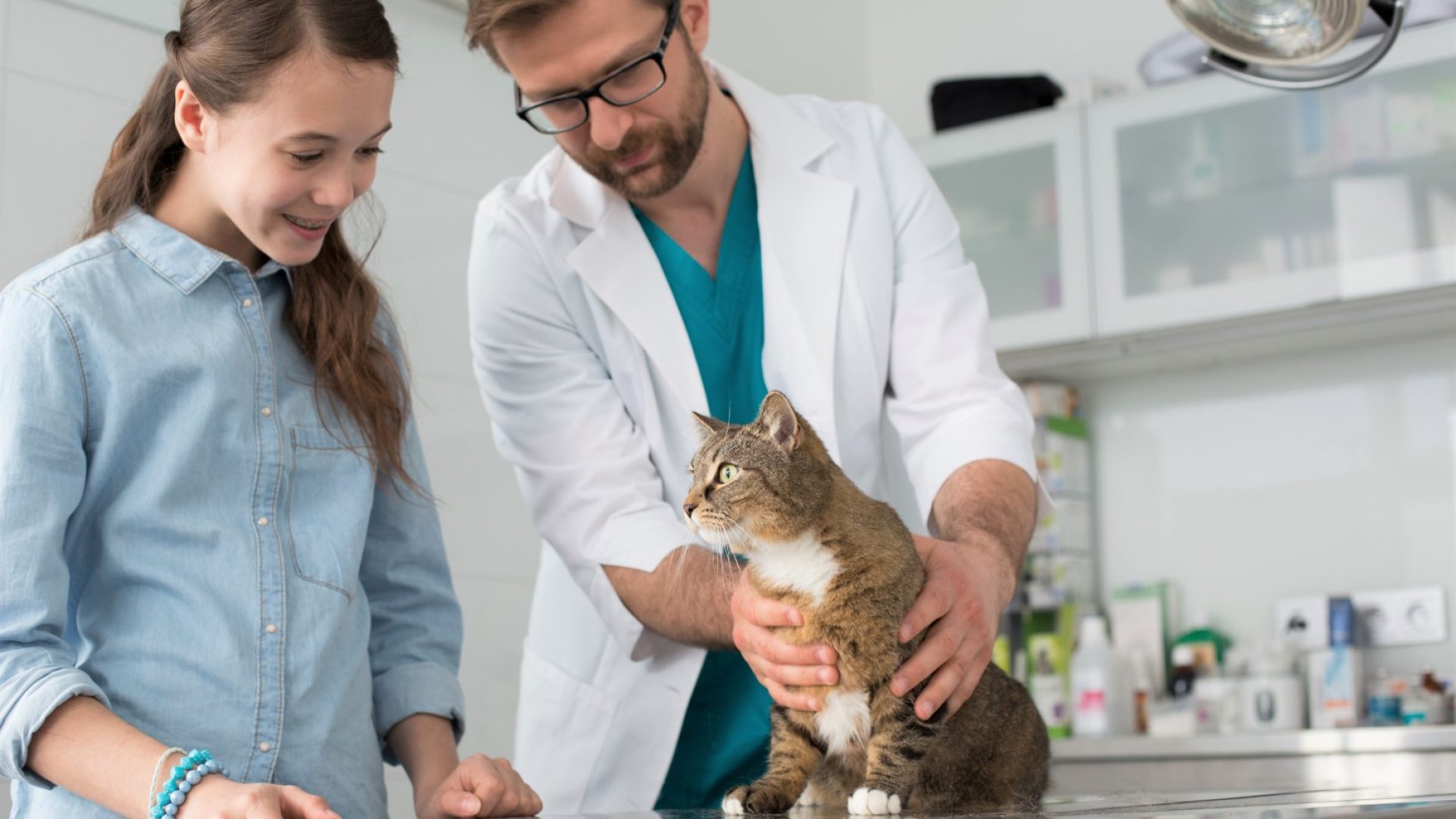 Doctor and girl looking at cat on table in veterinary clinic